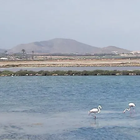 Апартаменты Inmovecos Vistas Al Mar Con Piscina Alisios 329