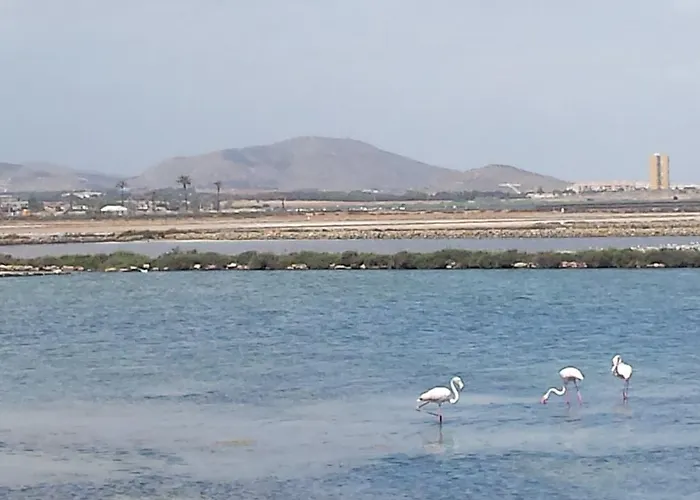 아파트 Inmovecos Vistas Al Mar Con Piscina Alisios 329